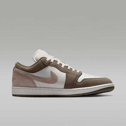 Air Jordan 1 Low Shoes