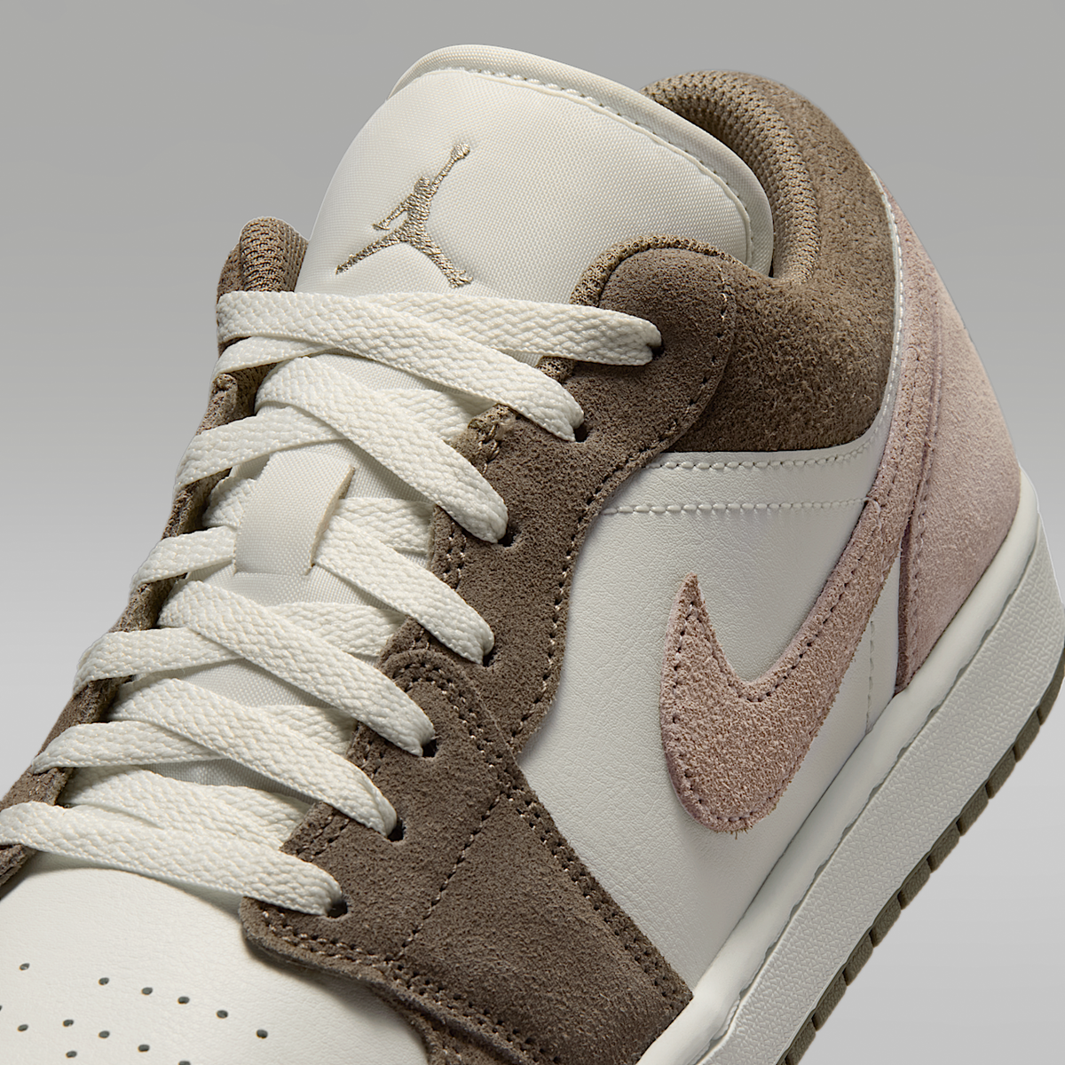Air Jordan 1 Low Shoes