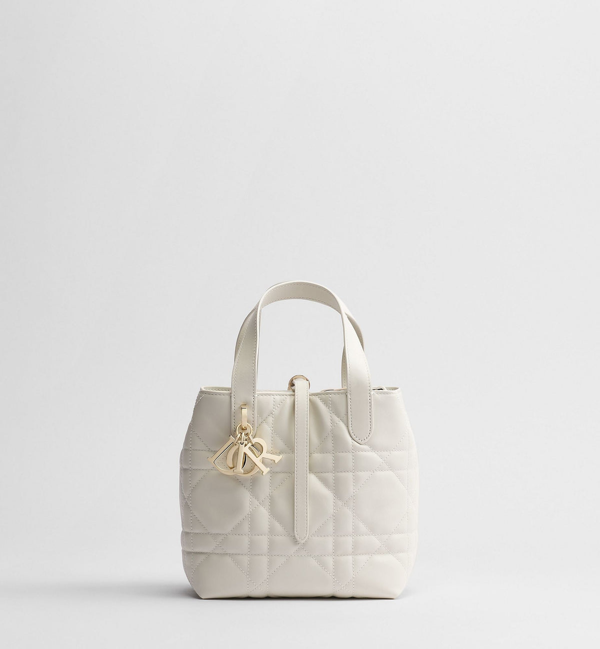 Small Toujours Vertical Tote Bag
