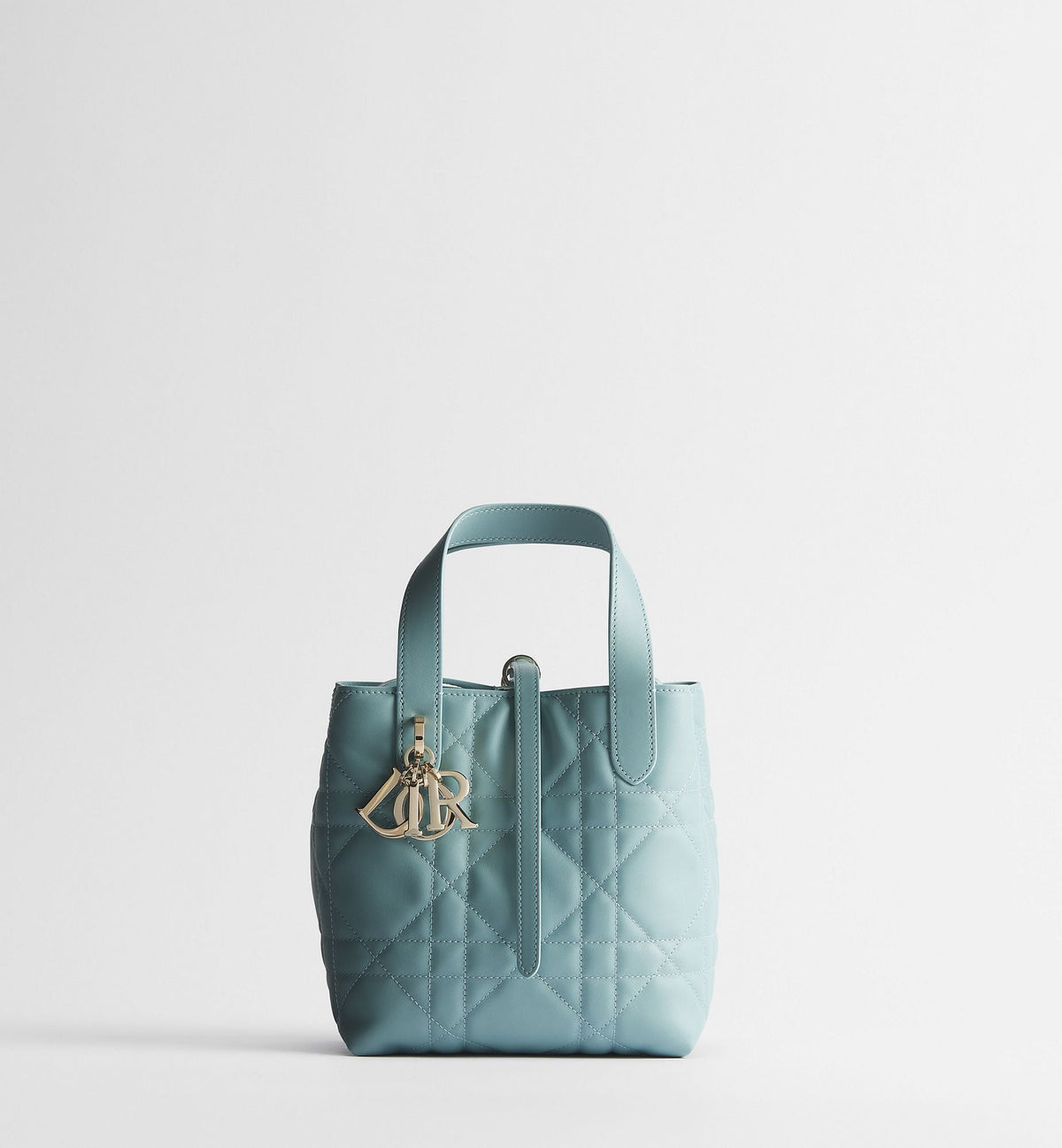Small Toujours Vertical Tote Bag