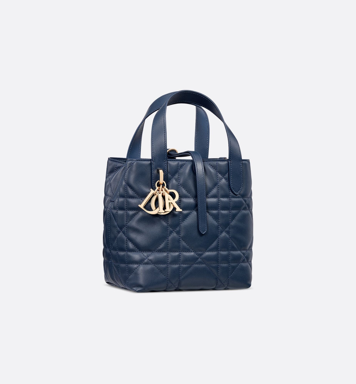 Small Toujours Vertical Tote Bag