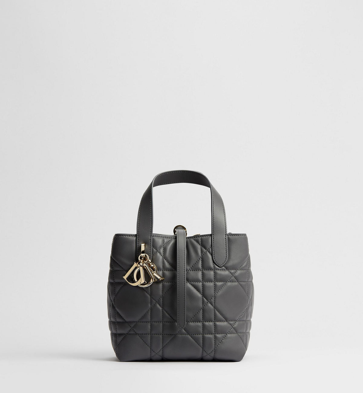 Small Toujours Vertical Tote Bag