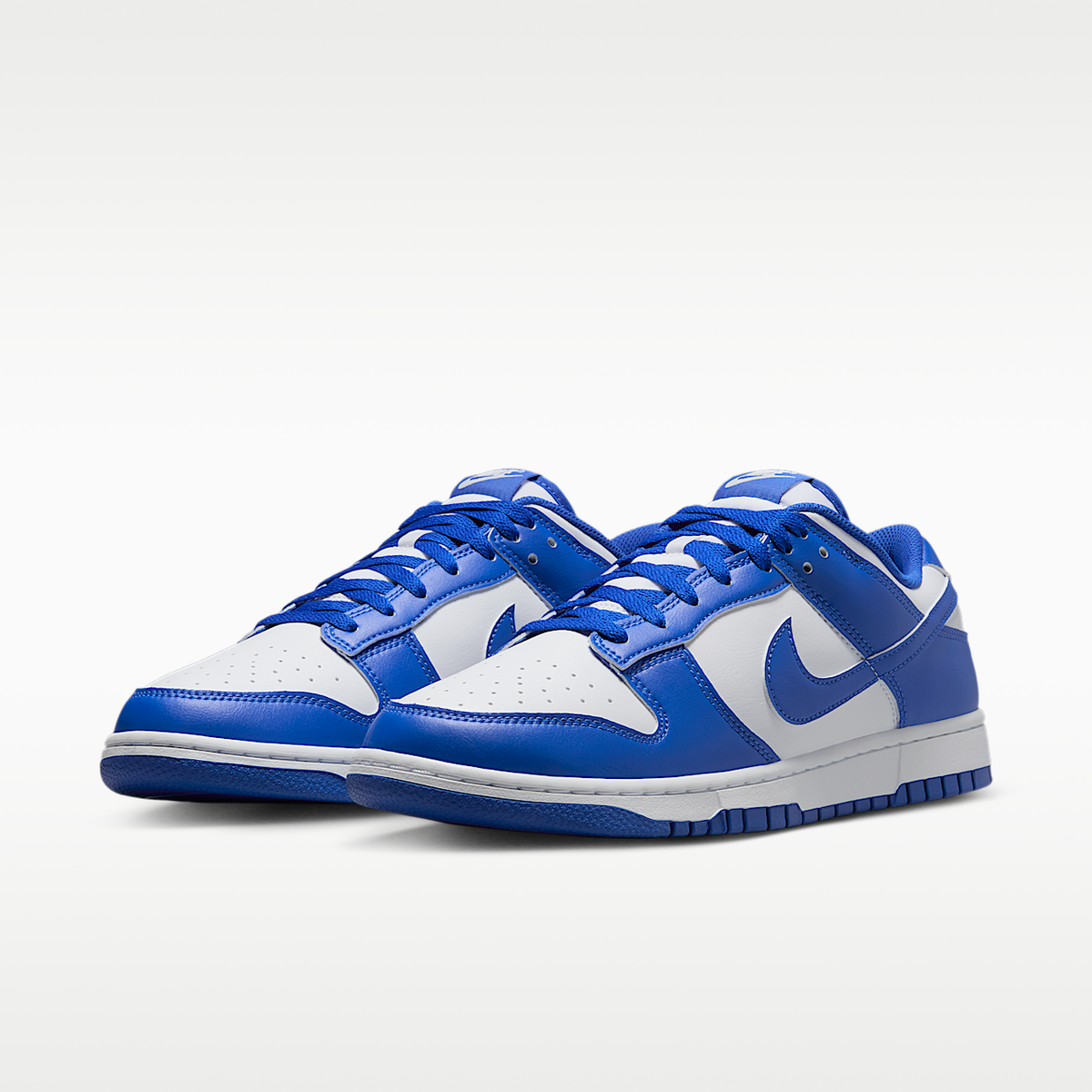 Dunk Low Retro Shoes