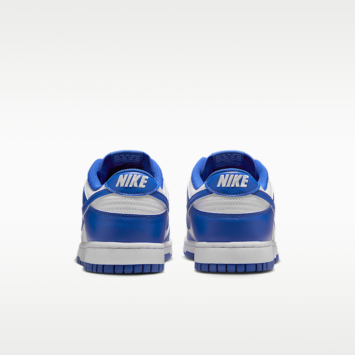 Dunk Low Retro Shoes