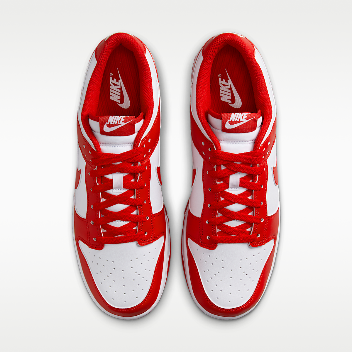 Dunk Low Retro Shoes