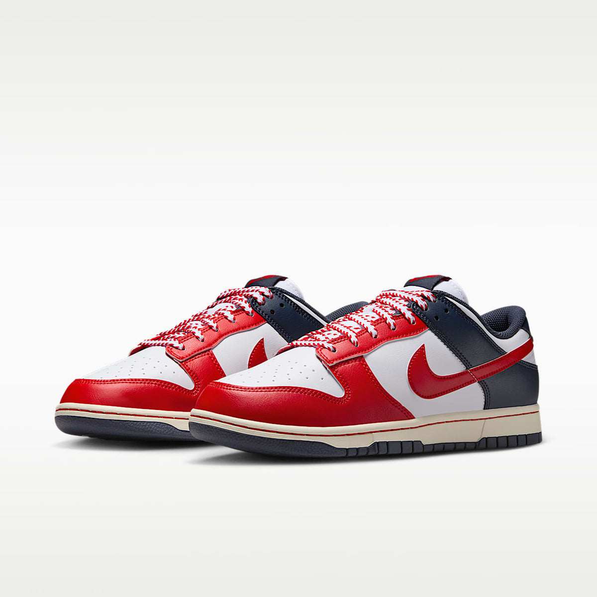 Dunk Low Retro Shoes