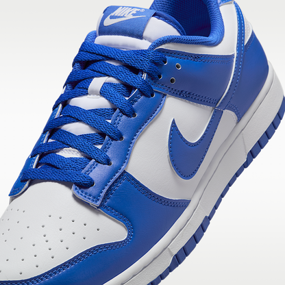 Dunk Low Retro Shoes