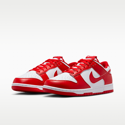 Dunk Low Retro Shoes
