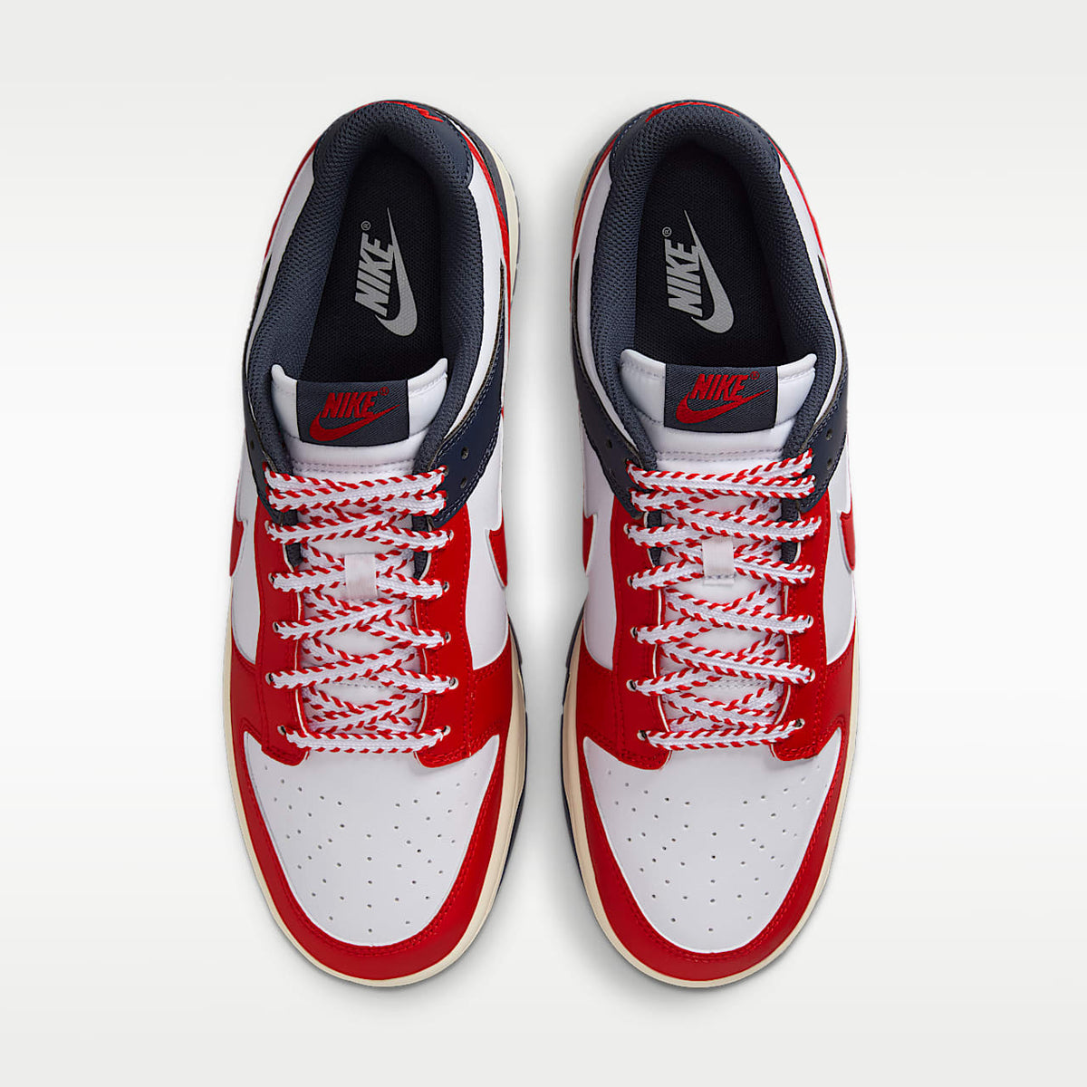 Dunk Low Retro Shoes