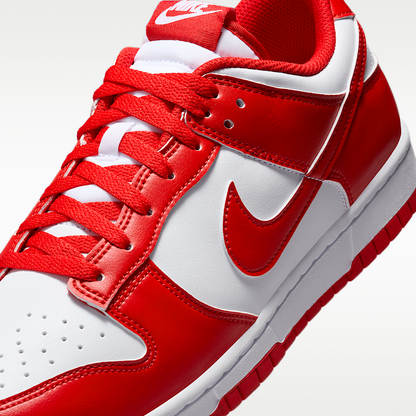 Dunk Low Retro Shoes