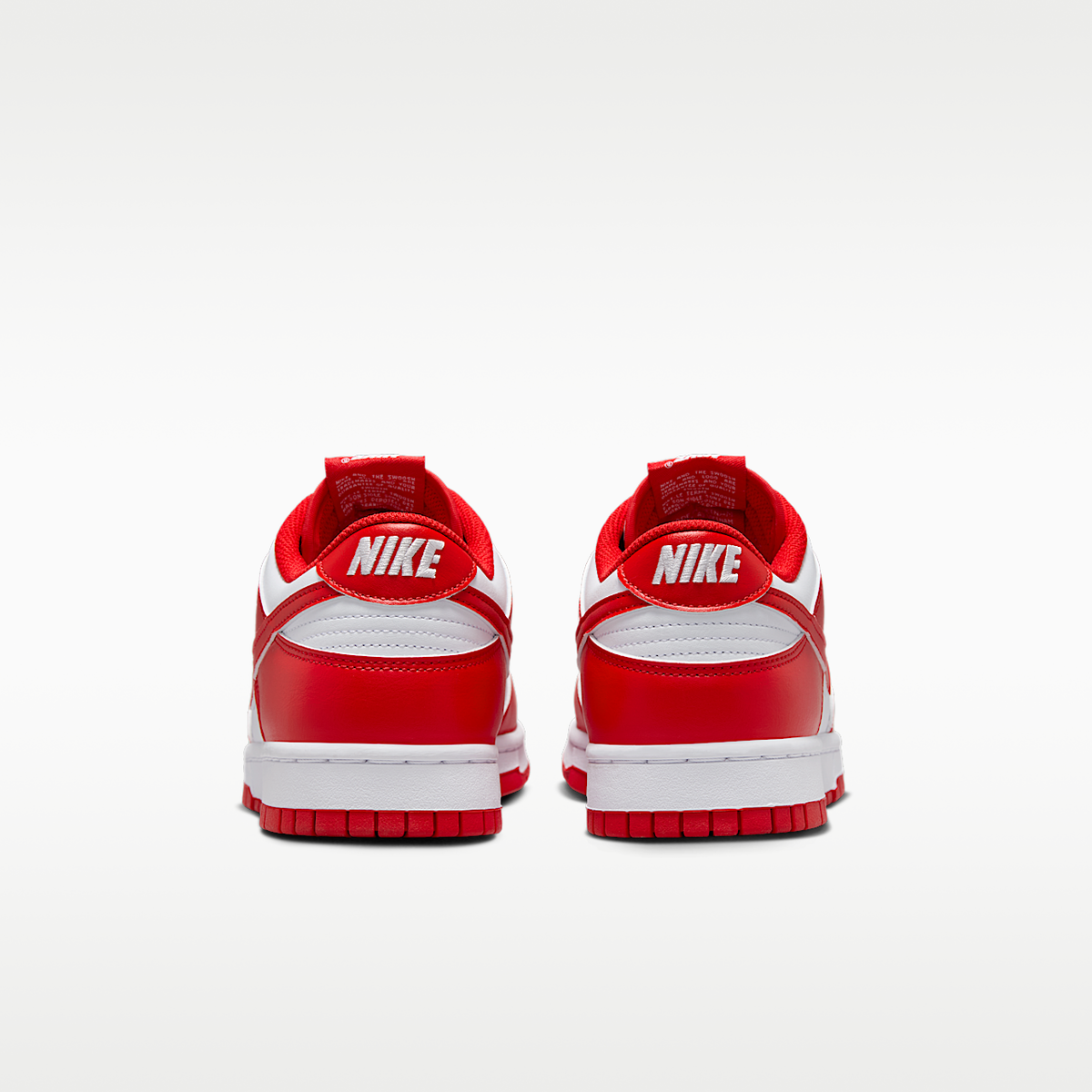 Dunk Low Retro Shoes