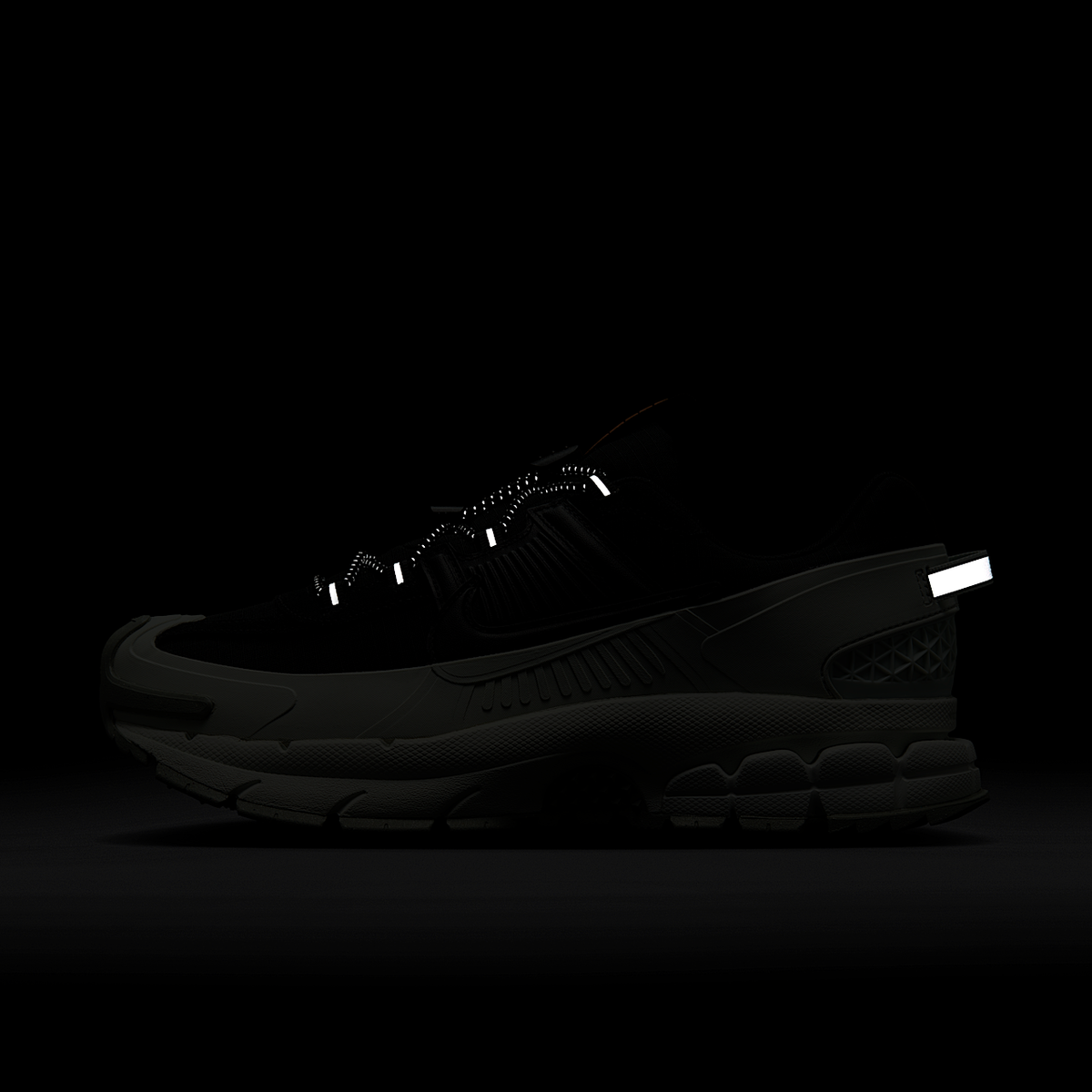 Nike Zoom Vomero Roam Men's Shoes FV2295-001
