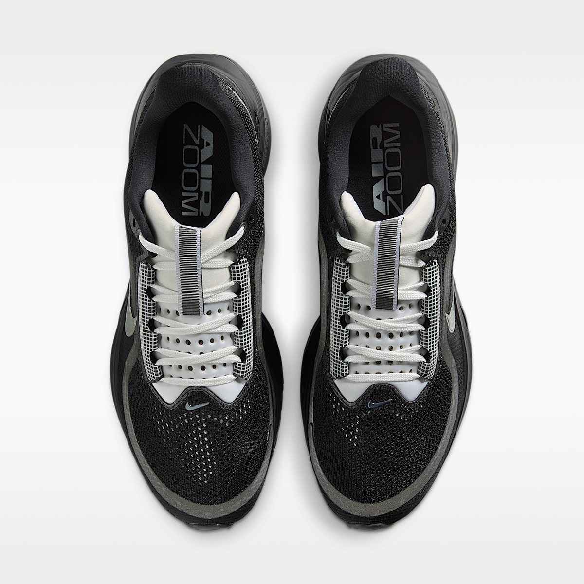 Pegasus Premium SP Shoes