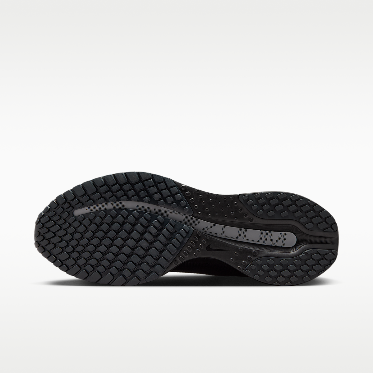Pegasus Premium SP Shoes