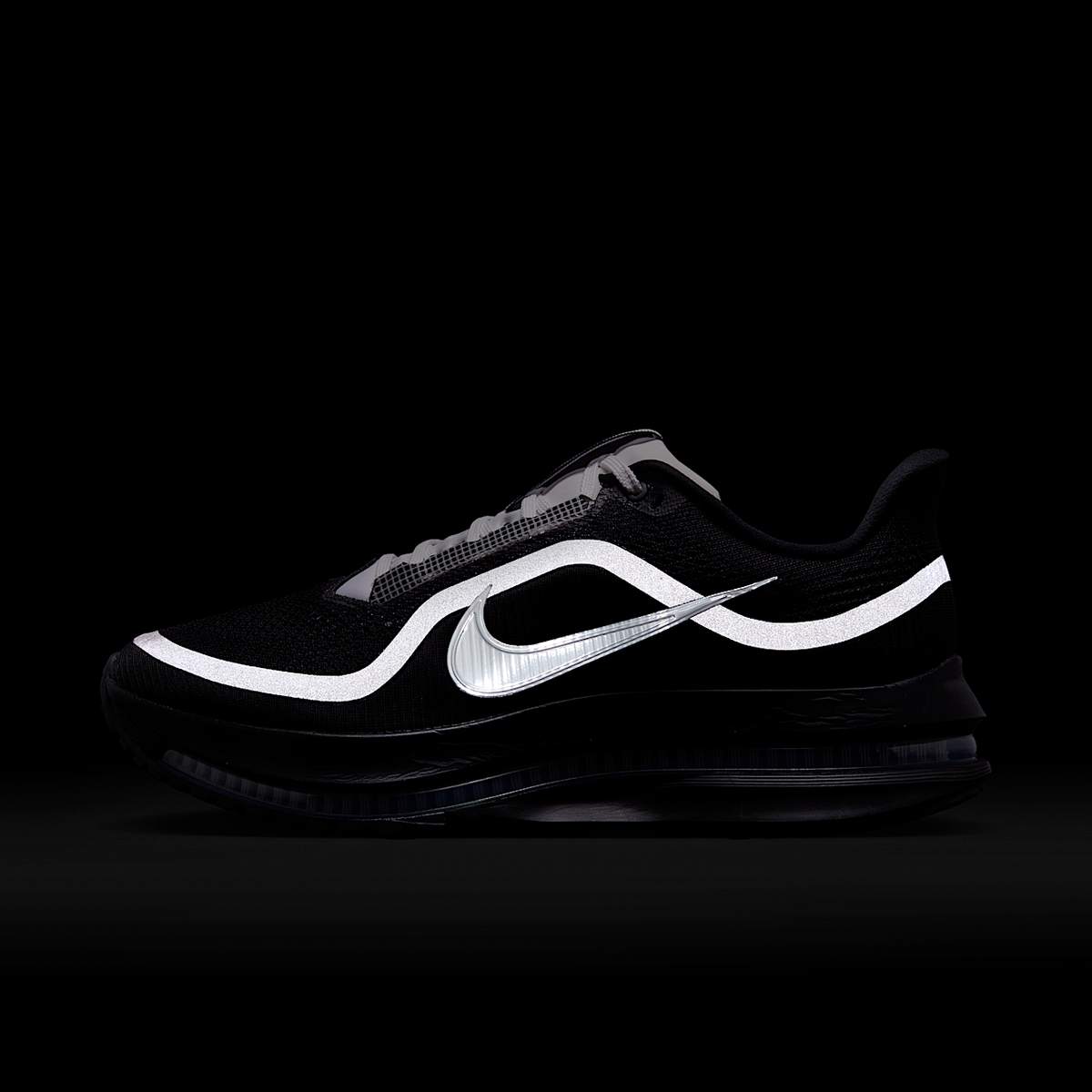 Pegasus Premium SP Shoes