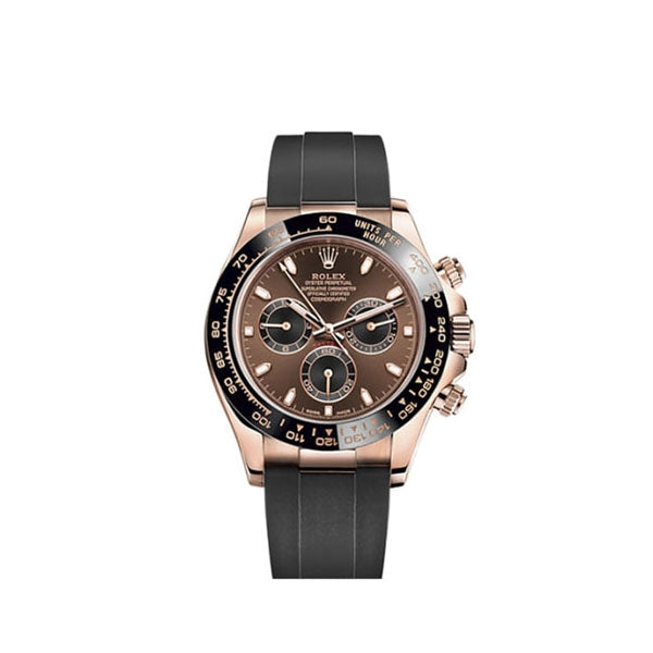 116515LN Daytona Limoncello - Everose gold