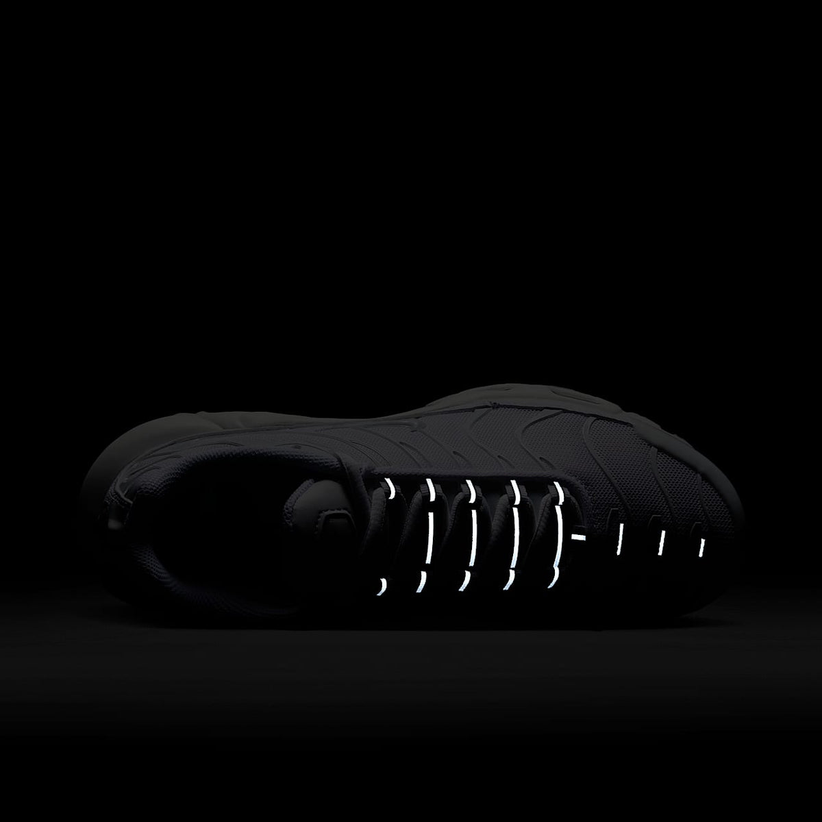 Nike Air Max Plus Women's Shoes DM2362-100