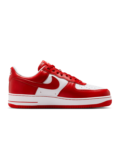 Nike Air Force 1 Low x Terror Squad Men's Shoes II4391-100