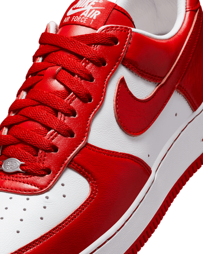 Nike Air Force 1 Low x Terror Squad Men's Shoes II4391-100