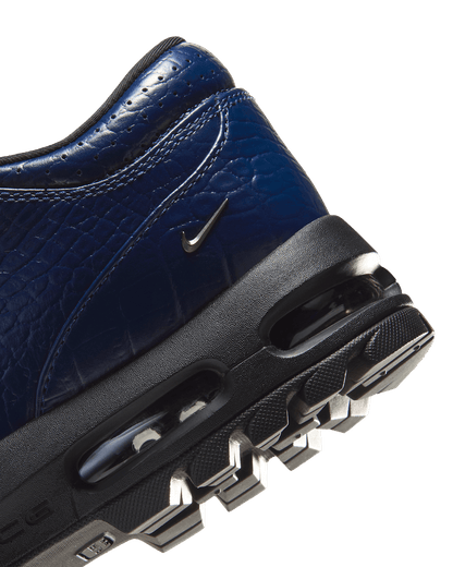 Nike Air Max Goadome Low Men's Shoes IV4517-400