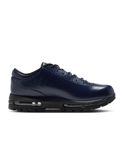 Nike Air Max Goadome Low Men's Shoes IV4517-400