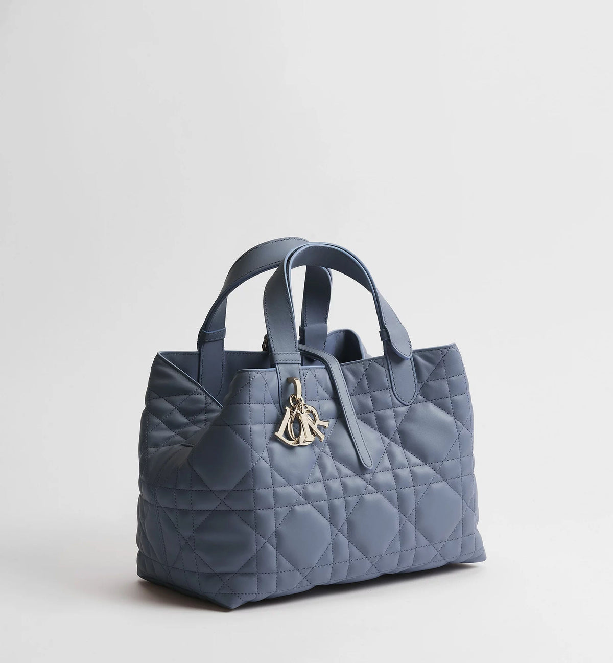 Medium Toujours Bag