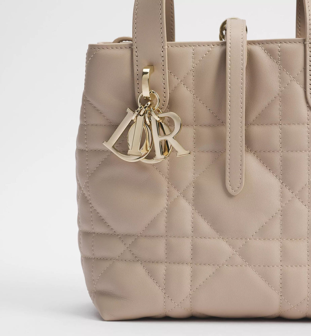 Small Toujours Vertical Tote Bag
