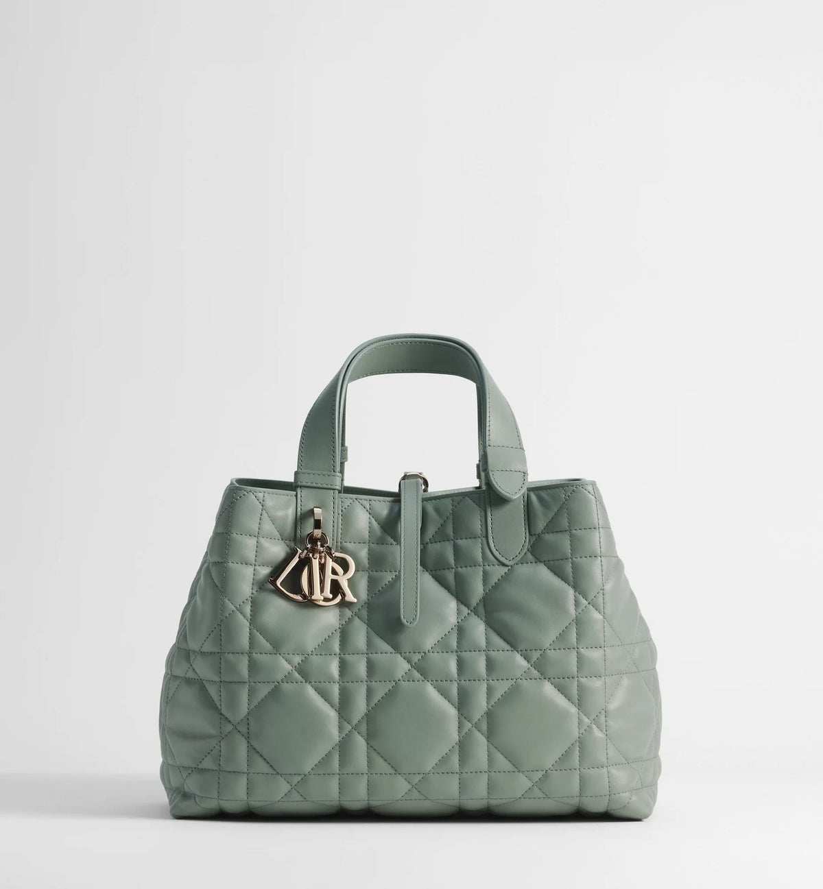 Medium Toujours Bag