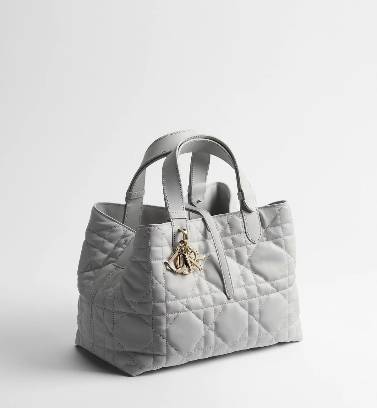Medium Toujours Bag