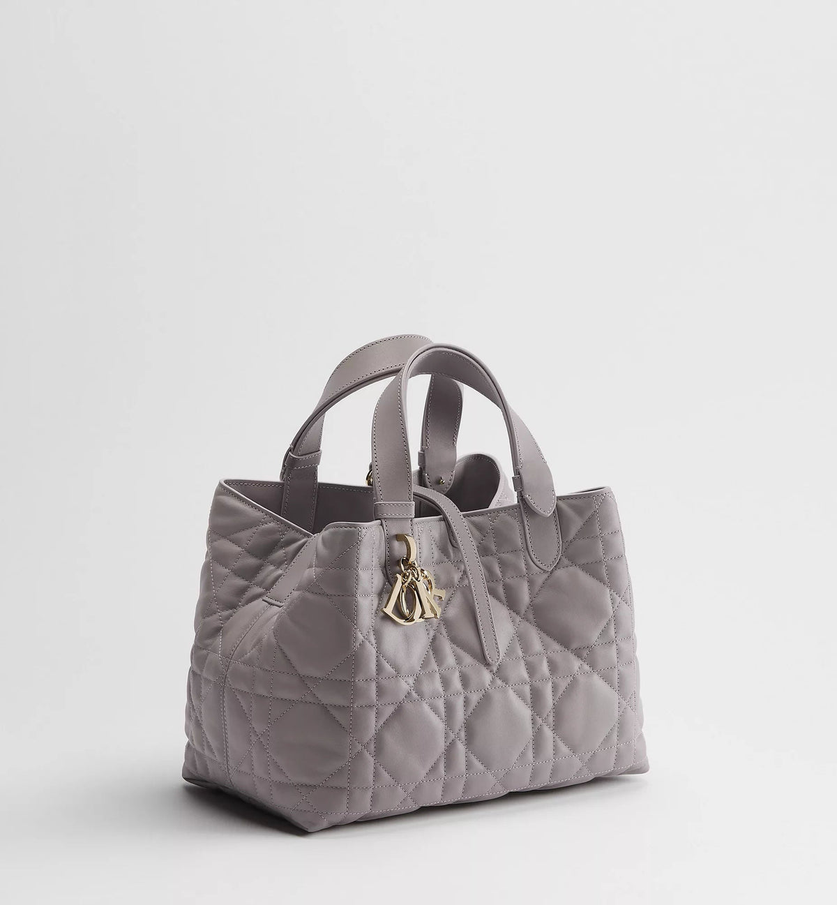 Medium Toujours Bag