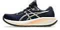 Men's GEL-CUMULUS 28 Running Shoes