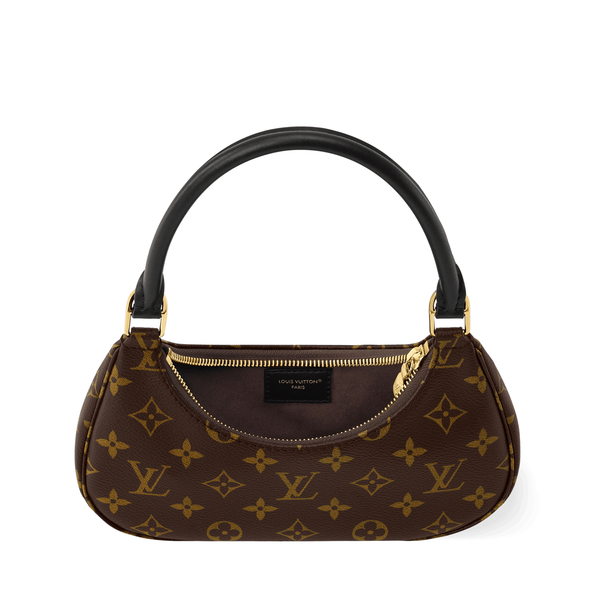 Women's Catchy PM Monogram Coated Canvas Nano Bag M25223