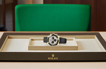 Cosmograph Daytona Oyster, 40 mm, yellow gold M116518LN-0076